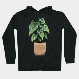 Alocasia frydek Hoodie